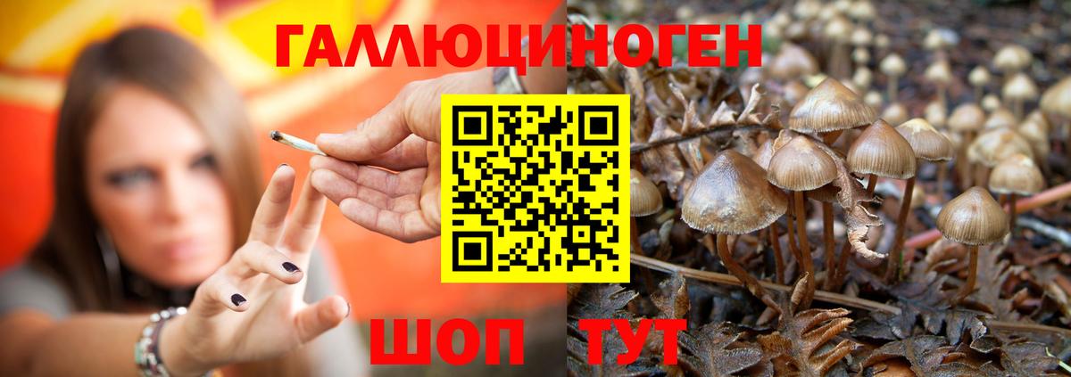 Химки  Псилоцибиновые грибы прущие грибы  где купить   Галлюциногенные грибы Psilocybine cubensis  Вход с VPN 